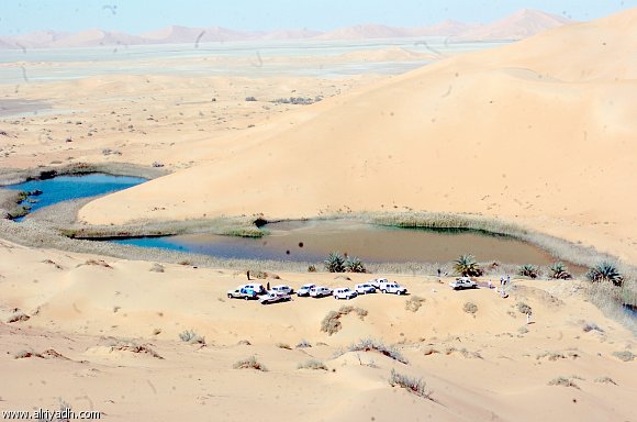 رمال الربع الخالي هي أكبر صحراء رملية في وطني